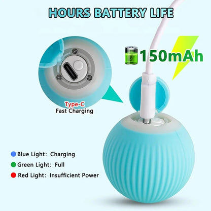 Smart Rolling Cat Toy - Interactive Electronic Ball for Indoor Fun and Play